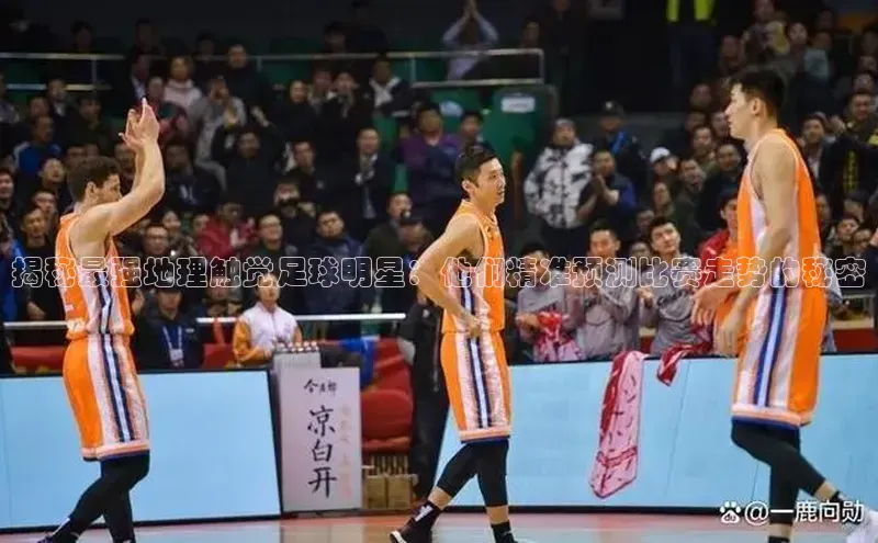 杏耀平台登录入口阿里尔公司