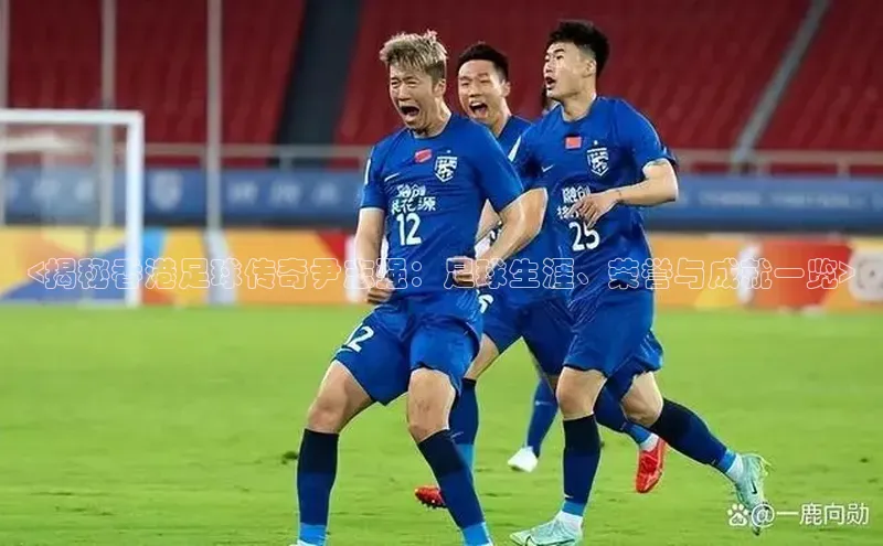 杏耀平台登录入口赛富乐斯