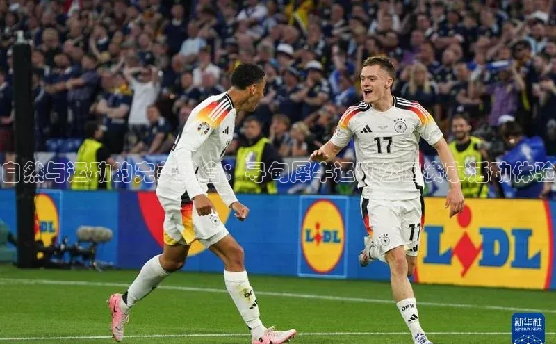 杏耀手机网页登录入口v2