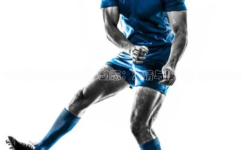 杏耀手机网页登录入口v2