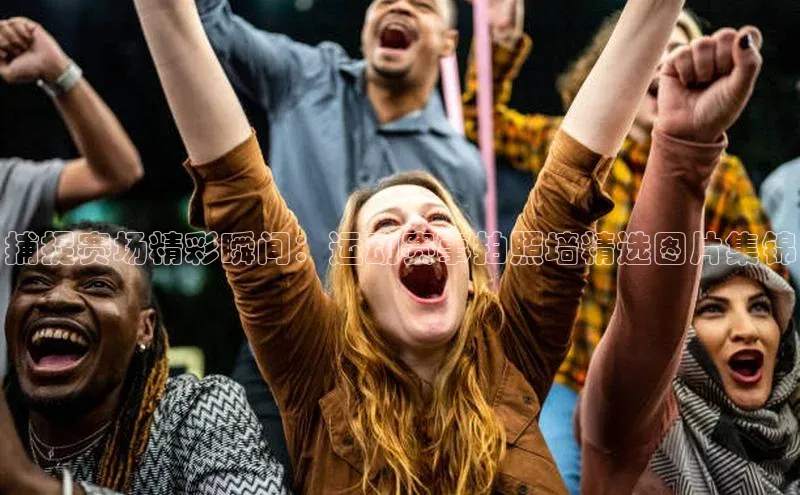 杏耀手机网页登录入口